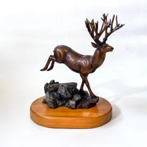 Sagebrush Rendezvous 22/50