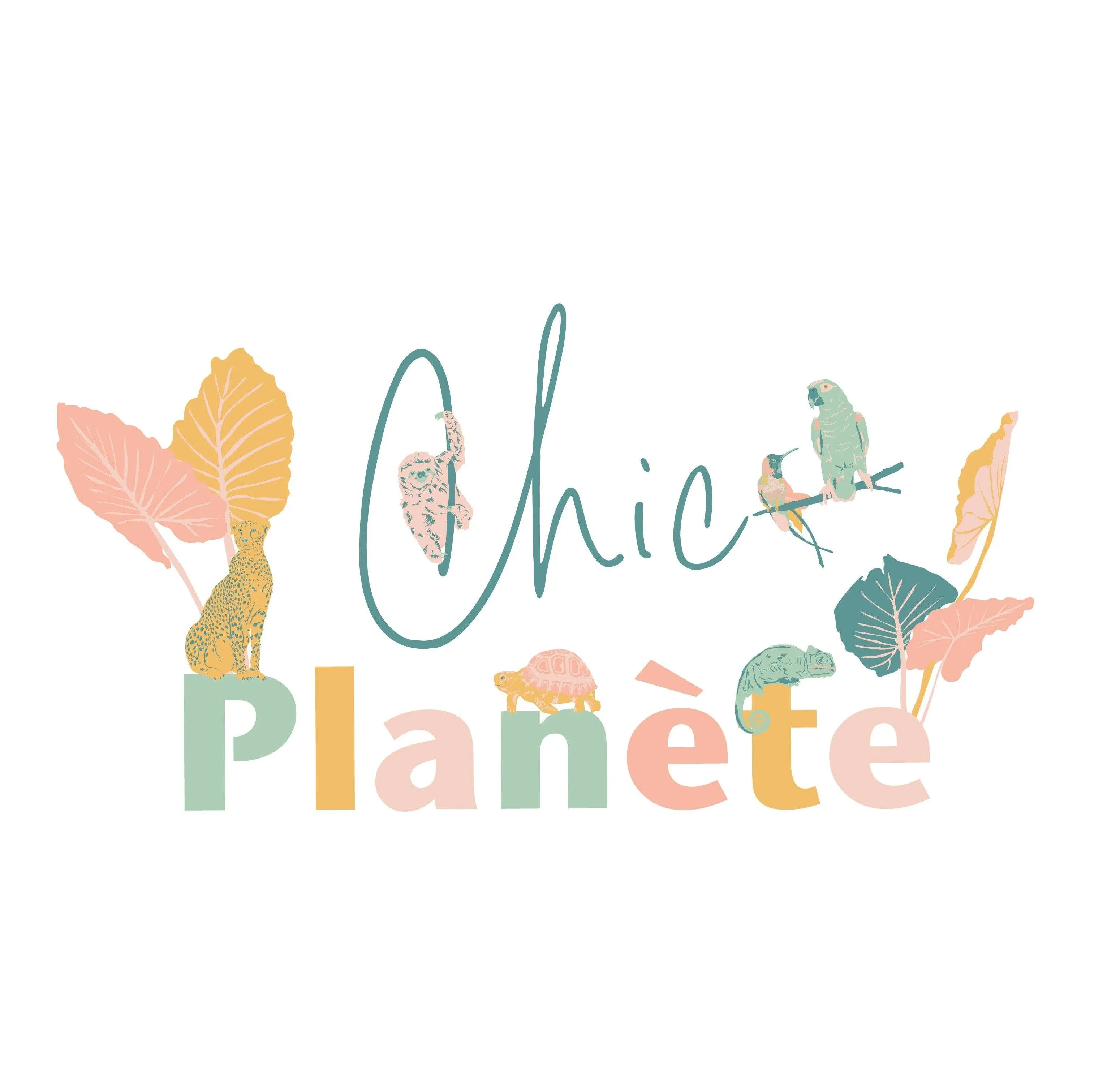 Tee-shirt chic planète