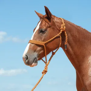 TKCAS/HTR--Copper Halter Rope w/Lead & Braided Mule Tape